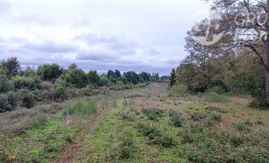 Sitio en Venta en Sector Los Patos, Ruta P - 304, Arauco