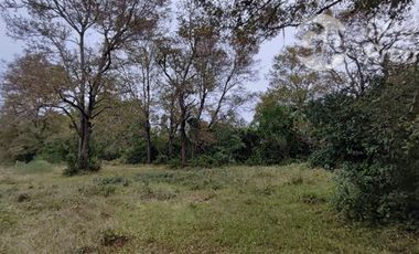 Sitio en Venta en Sector Los Patos, Ruta P - 304, Arauco
