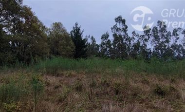Sitio en Venta en Sector Los Patos, Ruta P - 304, Arauco