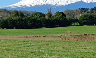 PRECIO OPORTUNIDAD   Parcelas en  Panguipulli venta Directa  SIN COMISION