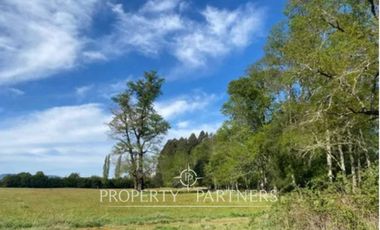 PRECIO OPORTUNIDAD   Parcelas en  Panguipulli venta Directa  SIN COMISION