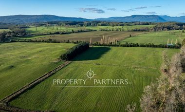 PRECIO OPORTUNIDAD   Parcelas en  Panguipulli venta Directa  SIN COMISION