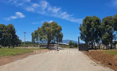 PRECIO OPORTUNIDAD   Parcelas en  Panguipulli venta Directa  SIN COMISION