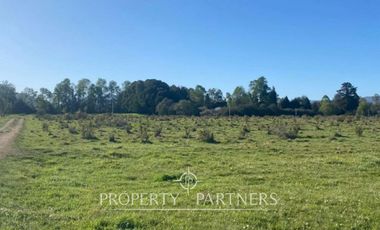 PRECIO OPORTUNIDAD   Parcelas en  Panguipulli venta Directa  SIN COMISION