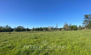 PRECIO OPORTUNIDAD   Parcelas en  Panguipulli venta Directa  SIN COMISION