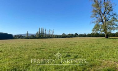 PRECIO OPORTUNIDAD   Parcelas en  Panguipulli venta Directa  SIN COMISION