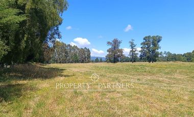 PRECIO OPORTUNIDAD   Parcelas en  Panguipulli venta Directa  SIN COMISION