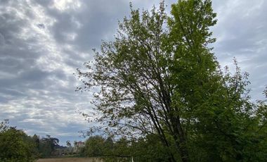 Cómodo departamento en excelente ubicación Isla Teja, Edificio Smart