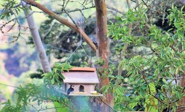 CASA CAMPESTRE ALQUILER VÍA AL MAR