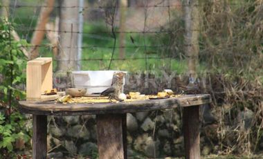 CASA CAMPESTRE ALQUILER VÍA AL MAR