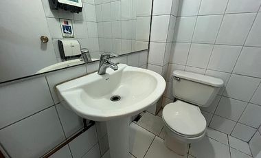 VIÑA DEL MAR / PARQUE BUSTAMANTE