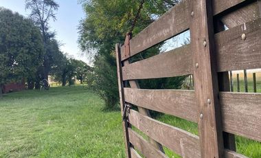 QUINTA EN VENTA EN  PEHUAJO SOBRE RUTA  Nº5