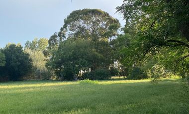 QUINTA EN VENTA EN  PEHUAJO SOBRE RUTA  Nº5