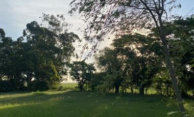 QUINTA EN VENTA EN  PEHUAJO SOBRE RUTA  Nº5