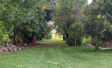 QUINTA EN VENTA EN  PEHUAJO SOBRE RUTA  Nº5
