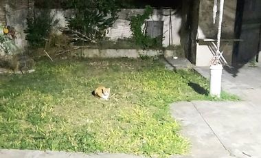 Vendo casa a reciclar zona centro, Paraná