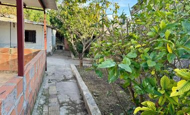 Casa c/parque, 2 ambientes, EN ALQUILER, Lisandro De La Torre 2600, Ituzaingó