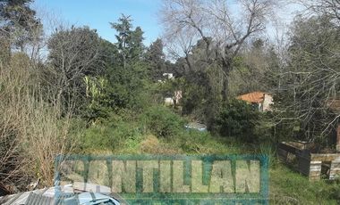 GALPÓN CON GRAN LOTE - VILLA LUZURIAGA