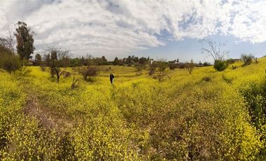 Sitio en Venta en Panamericana Norte