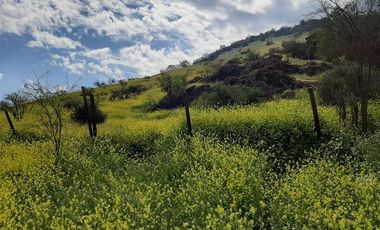 Sitio en Venta en Panamericana Norte