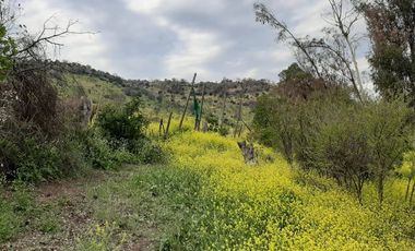 Sitio en Venta en Panamericana Norte