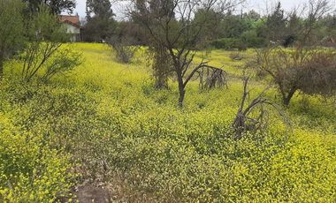 Sitio en Venta en Panamericana Norte