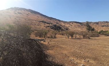 Sitio en Venta en Panamericana Norte