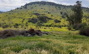 Sitio en Venta en Panamericana Norte