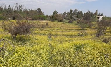 Sitio en Venta en Panamericana Norte