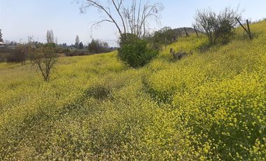 Sitio en Venta en Panamericana Norte