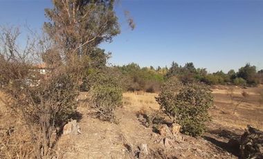 Sitio en Venta en Panamericana Norte