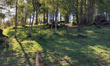Parcela en Venta en Opciones entre Villarrica, Loncoche y Gorbea