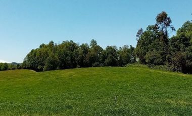 Parcela en Venta en Opciones entre Villarrica, Loncoche y Gorbea