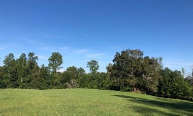 Parcela en Venta en Opciones entre Villarrica, Loncoche y Gorbea