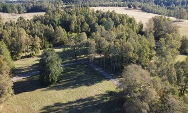 Parcela en Venta en Opciones entre Villarrica, Loncoche y Gorbea