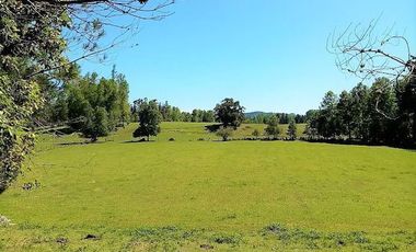 Parcela en Venta en Opciones entre Villarrica, Loncoche y Gorbea