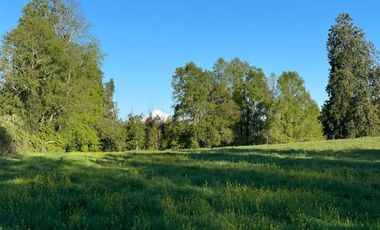 Parcela en Venta en Opciones entre Villarrica, Loncoche y Gorbea