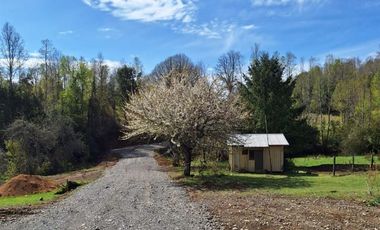 Parcela en Venta en Opciones entre Villarrica, Loncoche y Gorbea