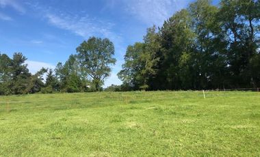 Parcela en Venta en Opciones entre Villarrica, Loncoche y Gorbea
