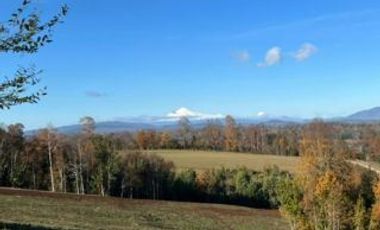 Parcela en Venta en Opciones entre Villarrica, Loncoche y Gorbea