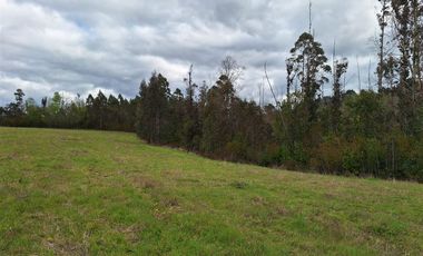 Parcela en Venta en Opciones entre Villarrica, Loncoche y Gorbea