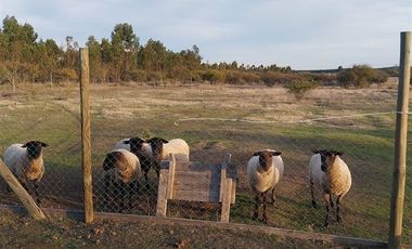 Parcela en Venta en RUTA LOS CONQUISTADORES