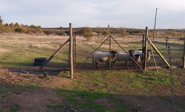 Parcela en Venta en RUTA LOS CONQUISTADORES