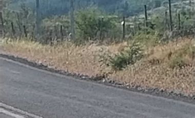 Parcela en Venta en Sauzal - Ruta Conquistadores