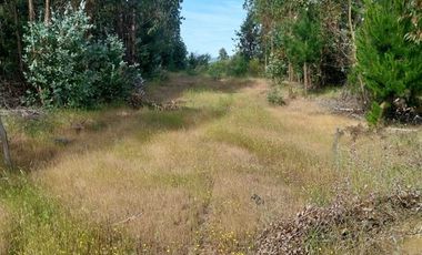 Parcela en Venta en Sauzal - Ruta Conquistadores