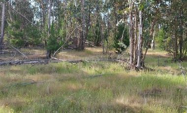 Parcela en Venta en Sauzal - Ruta Conquistadores