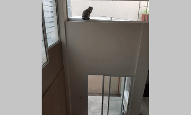 RECICLADO, EXCELENTE - PH en PB en Venta en Caballito 3 ambientes (1 dormitorio) 67 m2 + patio y terraza propios - Av Juan B. Alberdi 1200