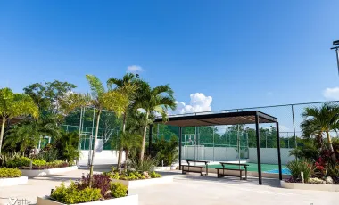 Departamento en renta en Cruz de Servicios, Solidaridad, Quintana Roo