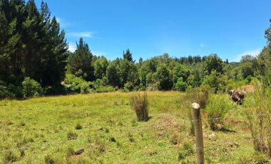 IMPERDIBLE 6 HECTÁREAS  AGRO GANADERIA O INMOBILIARIO