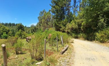 IMPERDIBLE 6 HECTÁREAS  AGRO GANADERIA O INMOBILIARIO